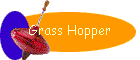 Grass Hopper